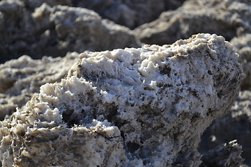 Image showing Salty rock at the Death Valley