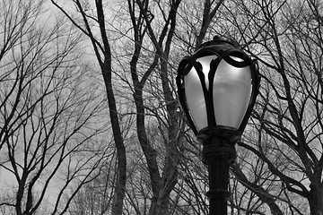 Image showing Lamppost in Central Park
