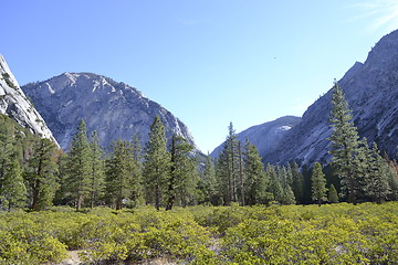 Image showing Hiking in Kings Canyon