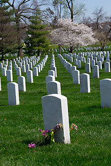 Image showing Arlington Cemetery tumb