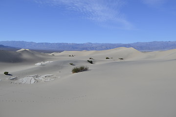 Image showing Sandy dunes in the Death Valley