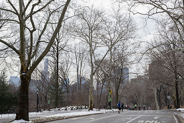 Image showing Exercise in Central Park in winter