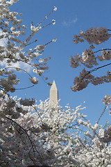 Image showing Top of the Washington Memorial