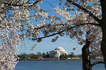 Image showing Thomas Jefferson Memorial framed with flowers