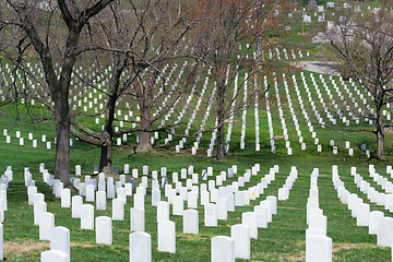 Image showing Lines of tombstones