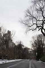 Image showing Road in Central Park