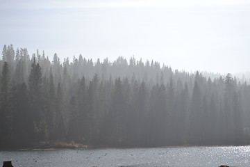 Image showing Hume Lake