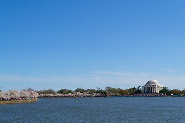 Image showing Thomas Jefferson Memorial during the cherry blossom festival