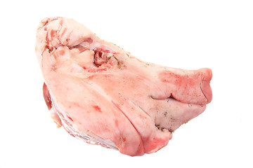 Image showing raw pig head isolated 