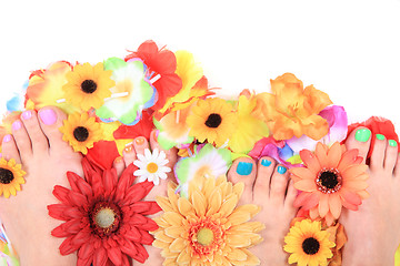 Image showing women feets and flowers (pedicure tbackground)