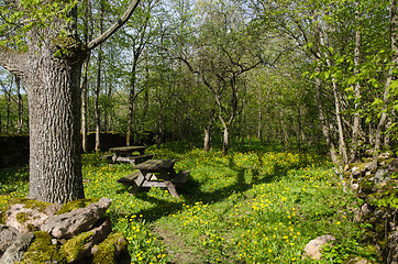 Image showing Rest area at spring