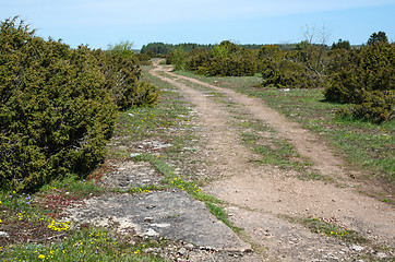 Image showing Winding dirt road