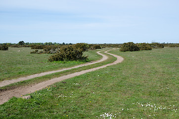 Image showing Winding tracks