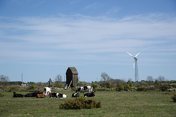 Image showing Landscape with windmills