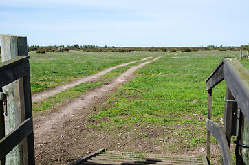 Image showing Entrance to unique nature