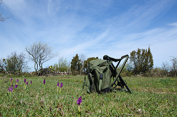 Image showing Backpack in blossom nature