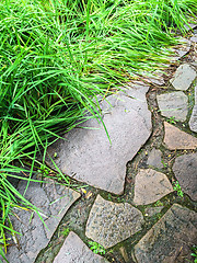 Image showing Garden path and green grass