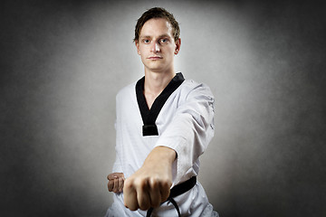 Image showing Taekwon Do Master