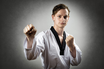 Image showing Taekwon Do Master