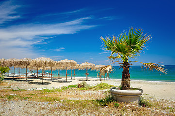 Image showing Reed umbrellas on the beach