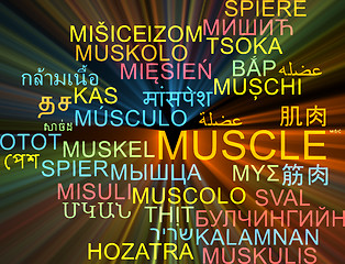 Image showing Muscle multilanguage wordcloud background concept glowing