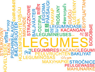 Image showing Legumes multilanguage wordcloud background concept