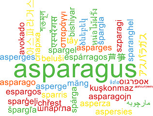 Image showing Asparagus multilanguage wordcloud background concept