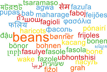 Image showing Beans multilanguage wordcloud background concept