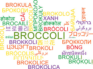 Image showing Broccoli multilanguage wordcloud background concept
