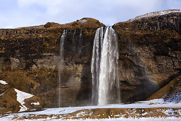 Image showing Waterfall Seljalandsfoss with rainbow