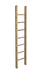 Image showing Wooden Ladder