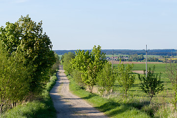 Image showing rural road on Beautiful spring rural landscape