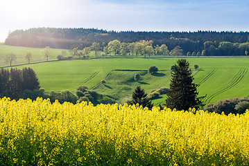 Image showing Beautiful spring rural landscape