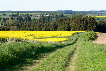 Image showing Beautiful spring rural landscape