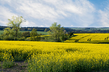 Image showing Beautiful spring rural landscape