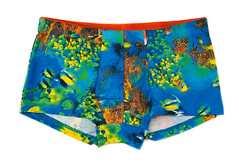 Image showing Men\'s boxer shorts with a colored pattern underwater world.