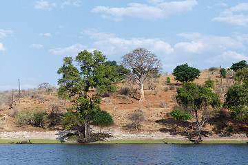 Image showing Chobe river Botswana