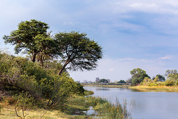 Image showing African landscape