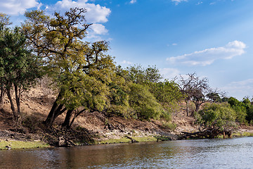 Image showing Chobe river Botswana