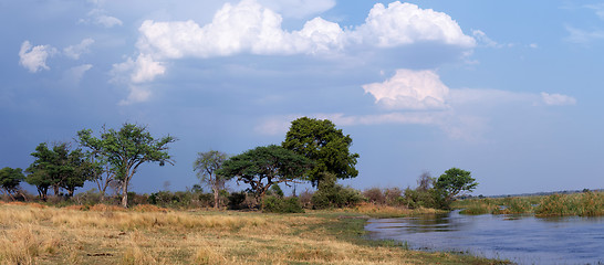 Image showing African landscape