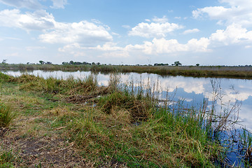 Image showing African landscape