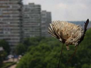 Image showing Artificial flower