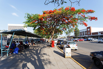 Image showing Street in Bulawayo Zimbabwe