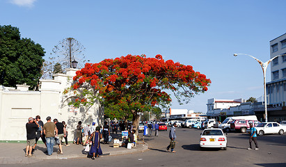 Image showing Street in Bulawayo Zimbabwe