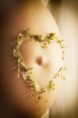 Image showing cress heart on baby bump