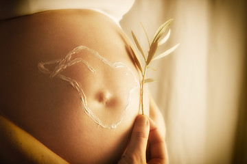 Image showing pigeon on baby bump