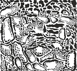Image showing Background with leopard skins and head