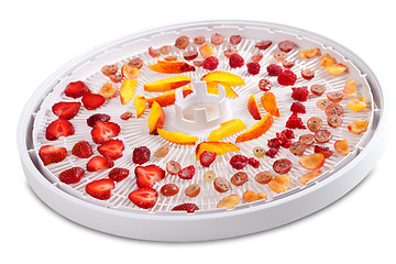 Image showing Slices of fruits and berries on dehydrator tray