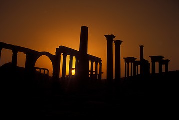 Image showing SYRIA PALMYRA ROMAN RUINS