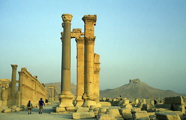 Image showing SYRIA PALMYRA ROMAN RUINS